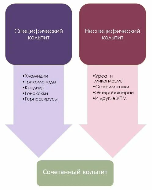 Кольпит что это и как лечить. Кольпит классификация. специфический кольпит. вагинит классификация.