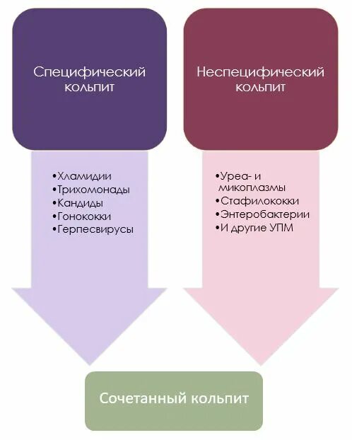 Кольпит классификация. Специфический кольпит. Вагинит классификация.