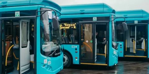 Автобус 96 спб