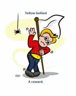 Yellow belly