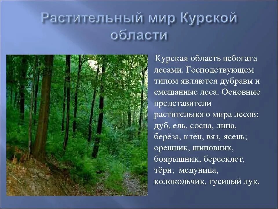 Область информация