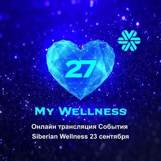 Велнес спб