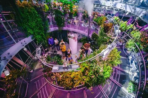 Варианты куда сходить