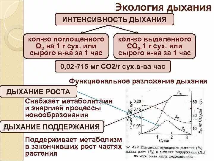 Интенсивность дыхания. Интенсивность дыхания растений. Зависимость интенсивности дыхания у растения таблица. Методы определения интенсивности дыхания:.