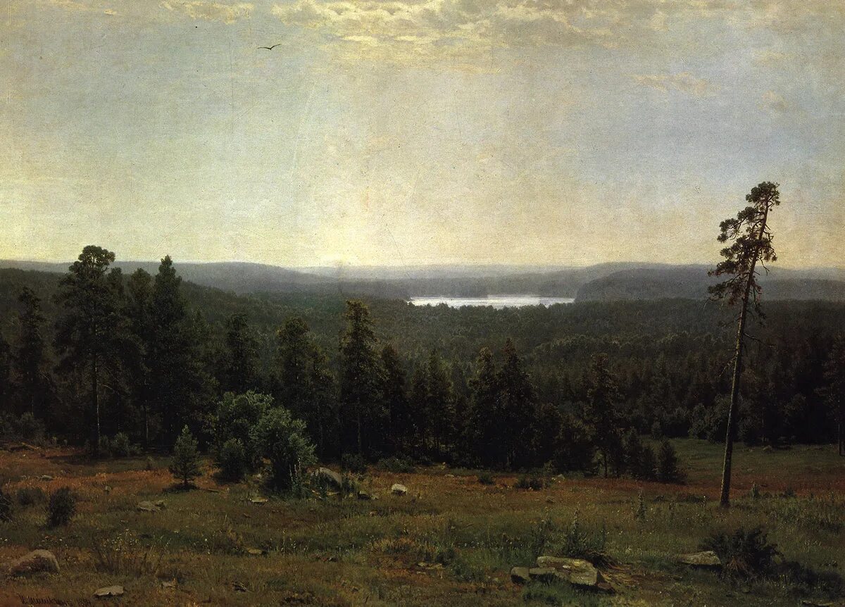 лесные дали художник. шишкин иван иванович “лесные дали” (1884). шишкин лесные дали 1884 репродукция. шишкин парк в павловске картина. картина шишкина лесные дали.