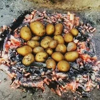 Сколько готовится картошка на костре