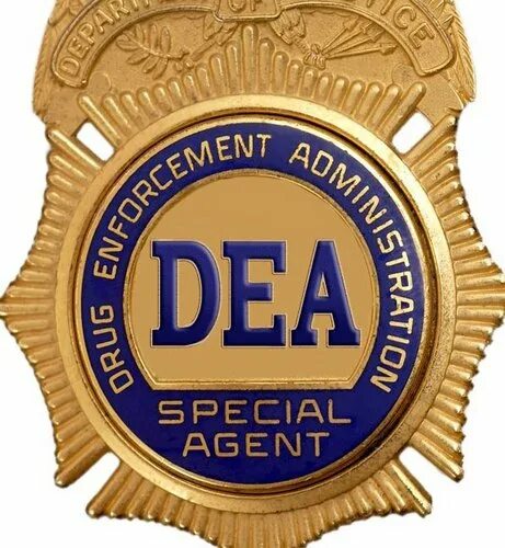 Мэгги белл фбр. Мэгги белл мисси перегрим. Ncis картинки. Special agent kids фильм 2013. Special agent oso oso.