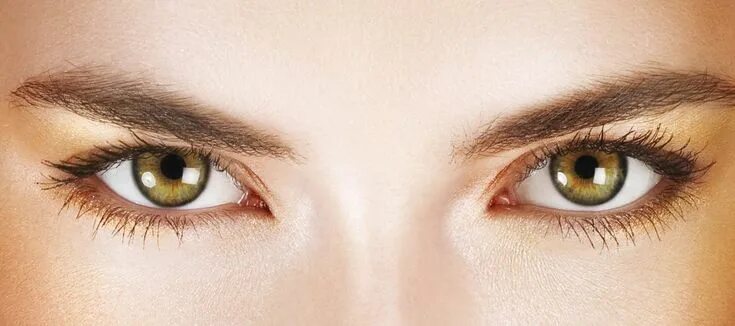 3d eye Body anatomy, Male body, Human eye