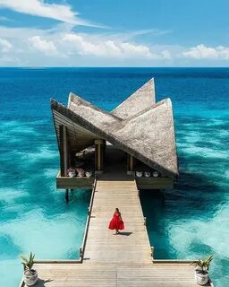 Dream paradise