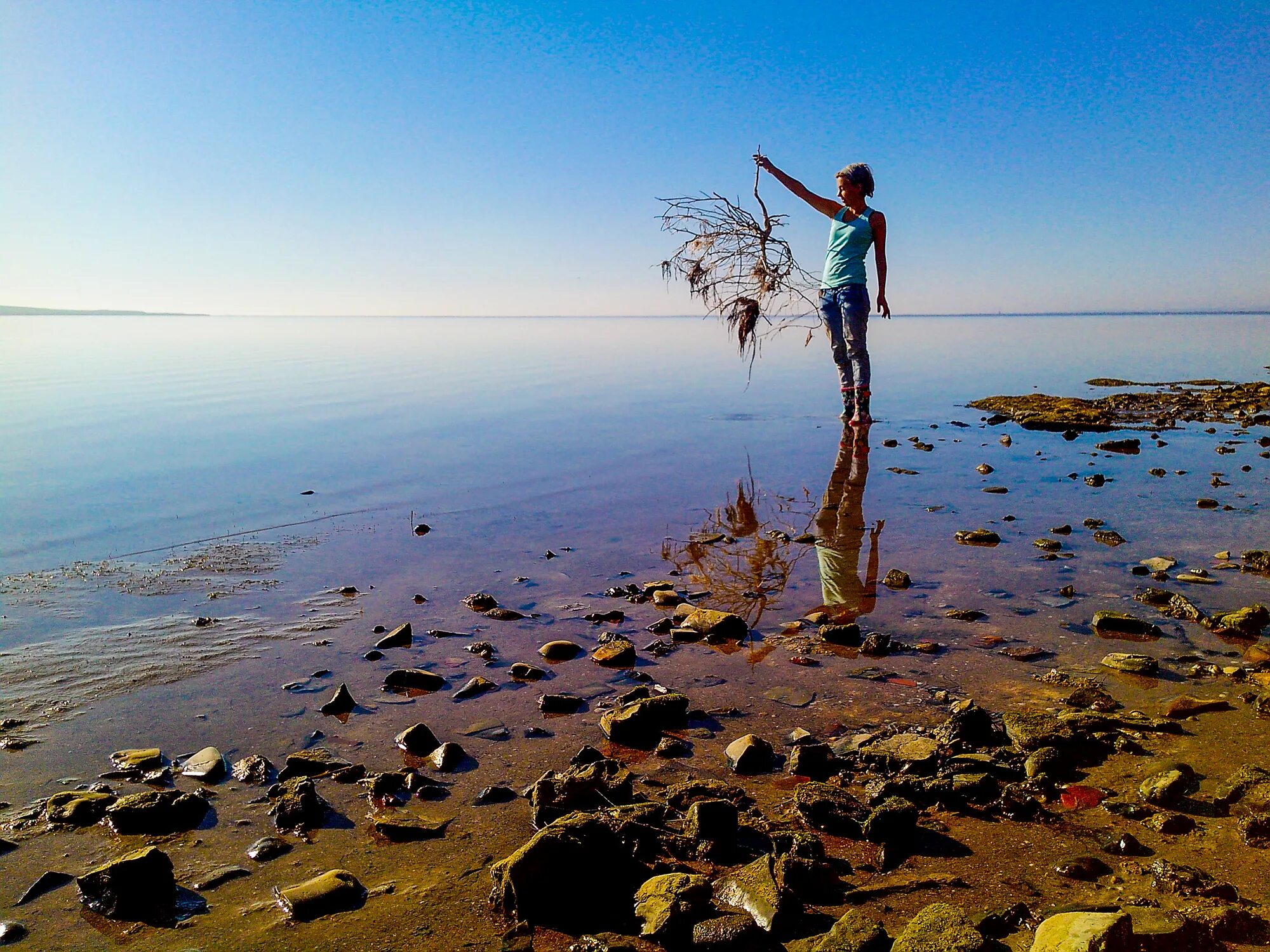 пос виноградный темрюкского района краснодарского края. тамань климат. тамань виноградники карта тамани. поселок тамань краснодарский. город тамань краснодарский край.