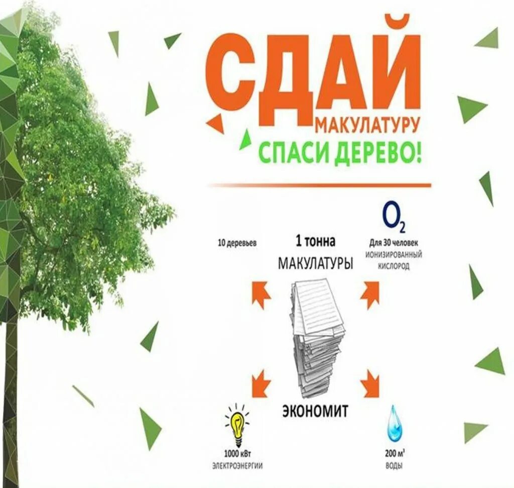 Макулатура отчет. Эко-марафон переработка сдай макулатуру спаси дерево 2025. эко марафон сдай макулатуру спаси дерево 2025. здай малакулвтуру спаси дерево. макулатура спасает дерево.