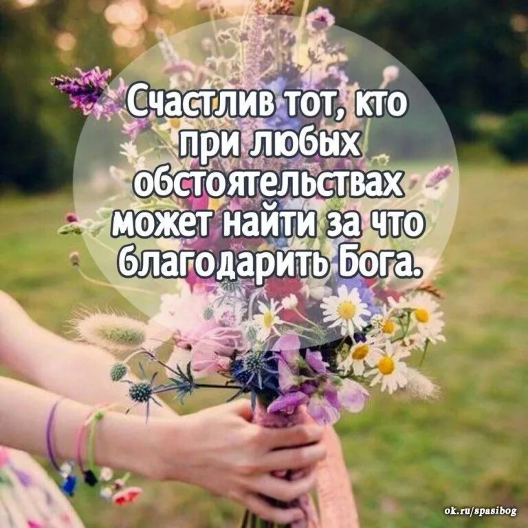 Любой сохранить
