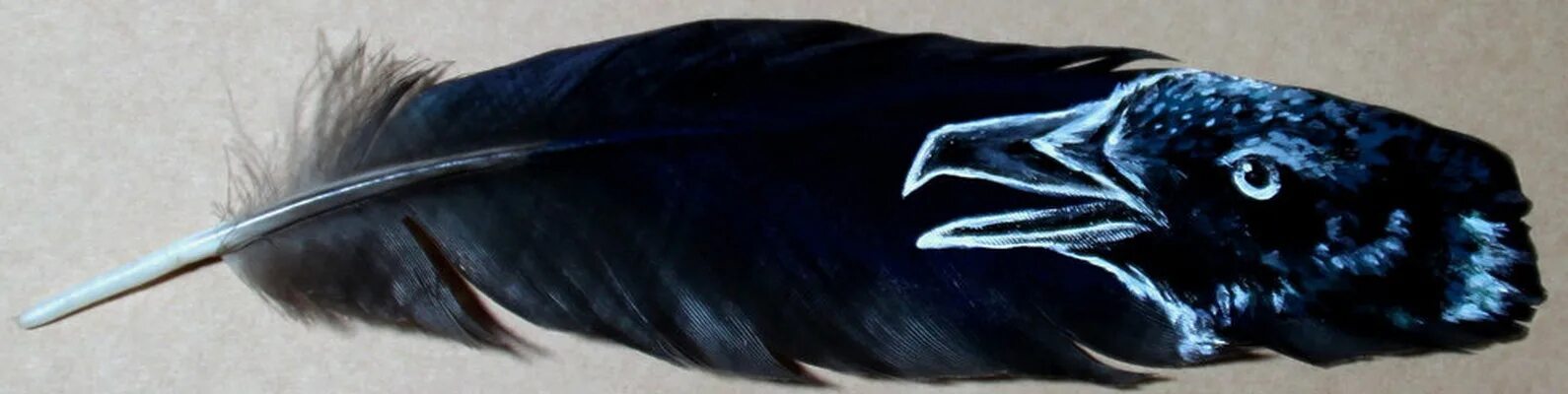 Feathering his own. Перо вороны. Перья птиц вороны. Вороньи перья. Черное перо ворона.