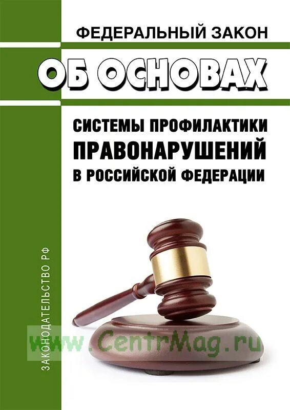 Об основах системы профилактики правонарушения. Федеральный закон от 23.06.2016. ФЗ 182 об основах системы профилактики правонарушений в РФ. 182 ФЗ от 23.06.2016. 23 июня 182 фз