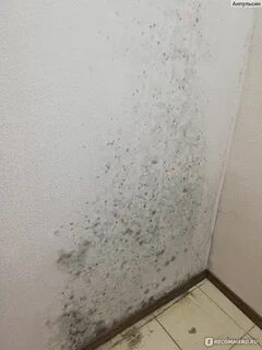 Средство от плесени CleanBox Средство для удаления плесени и грибка, чистящее и 