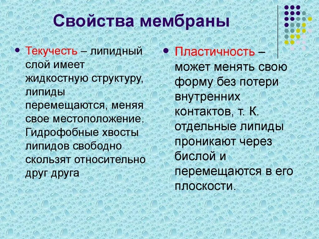 Свойства биологических мембран. Свойства клеточной мембраны. Свойства мембраны. Своцстваклеточной мембраны.