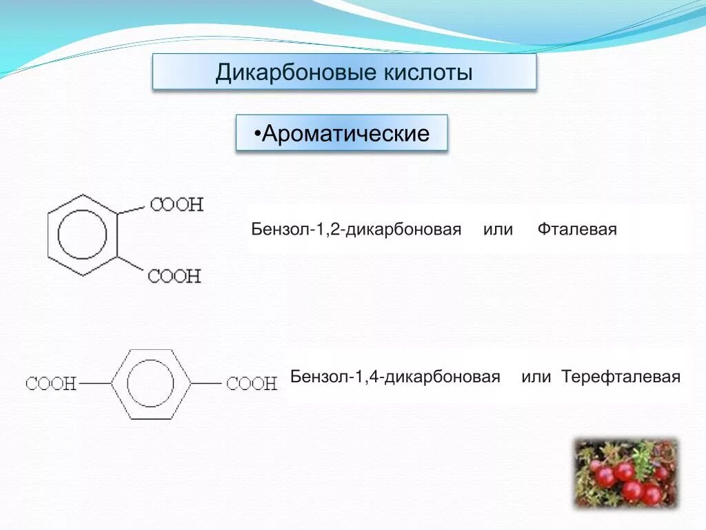 Номенклатура карбоновых кислот с бензольным кольцом. Бензол 1 2 дикарбоновые кислоты. Бензол 1 3 дикарбоновая кислота. Бензол 1 4 дикарбоновая кислота.