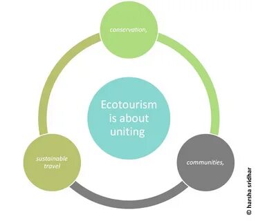 What is your attitude to ecotourism