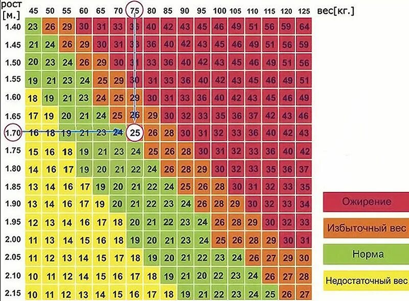 индекс массы тела. 6. таблица соотношения роста и веса для мужчин ожирение. таблица индекса массы тела для женщин. таблица расчета индекса массы тела.
