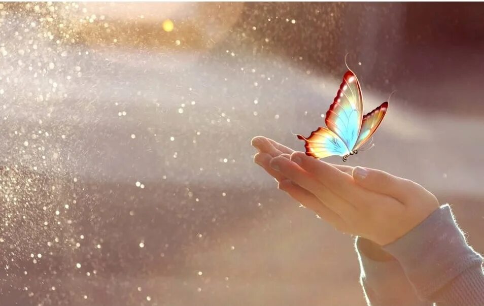 Волшебные бабочки. Счастье бабочки. Мечта картинки. Мечты и желания.