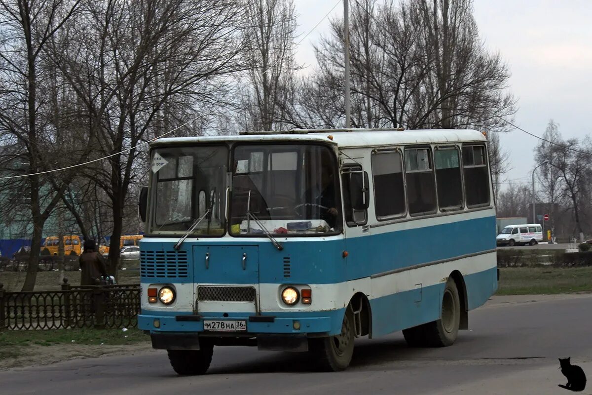 Загружаемые автобус воронежская область фотобус. 62 маршрут воронеж. Загружаемые автобус воронежская область фотобус. Р137хн36 автобус. Загружаемые автобус воронежская область фотобус.