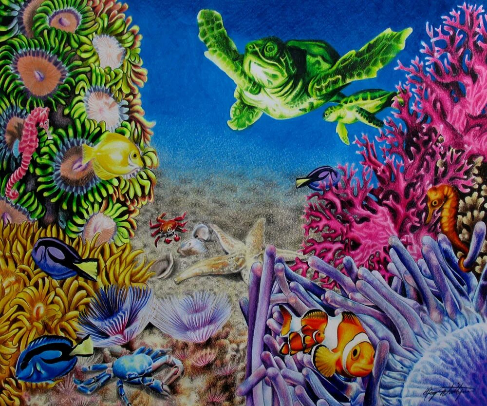 Сообщество кораллового рифа. Рисуем коралловый риф. Коралловый риф карандашом. Пластилинографии коралловый риф. Коралловый риф для детей.