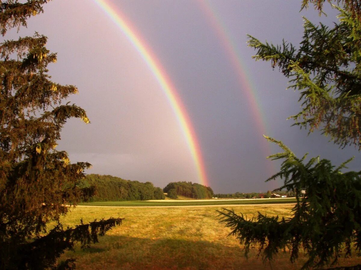 После дождя какая радуга. Радуга явление природы. Радуга после дождя. Фото Радуга после дождя. Природные явления летом.