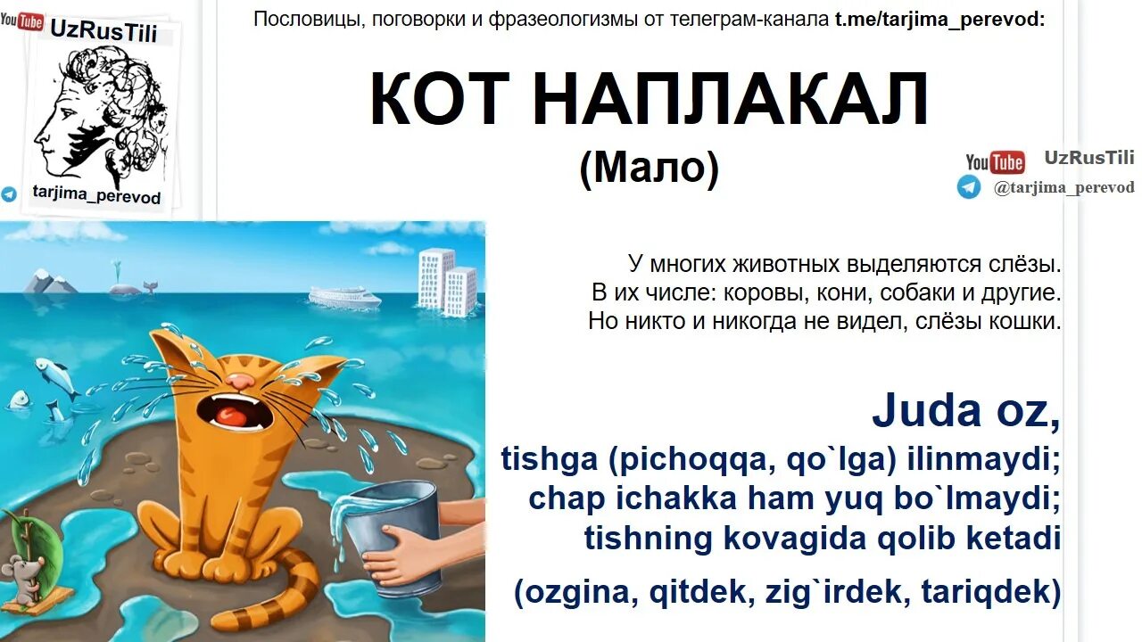 История фразеологизма кот наплакал. История фразеологизма кот наплакал