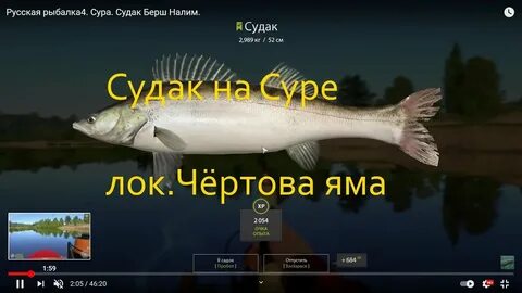 Сура 4