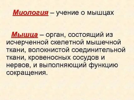 Наука о мышцах
