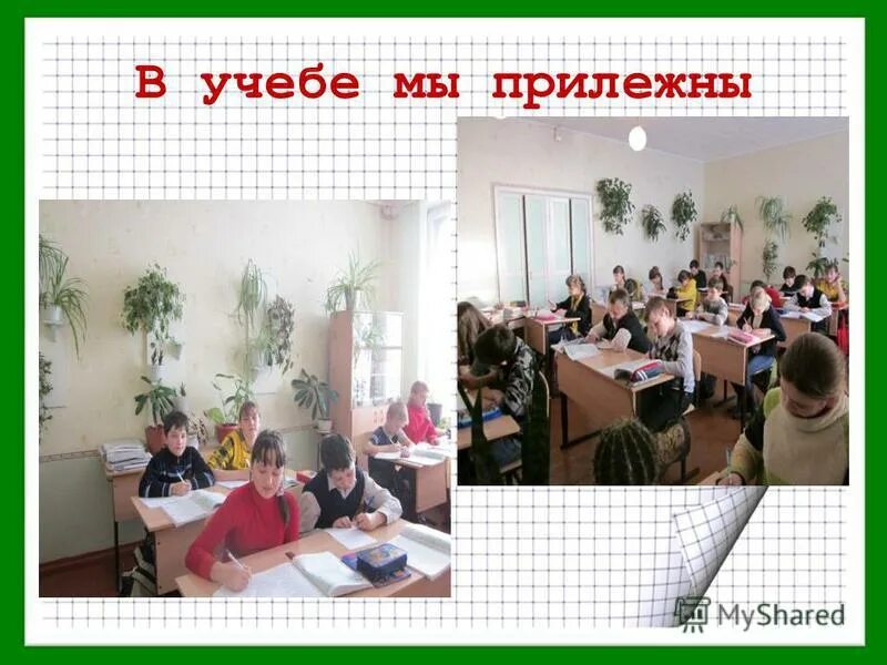 школа номер 6 бердск. лицей номер 6 мелеуз.