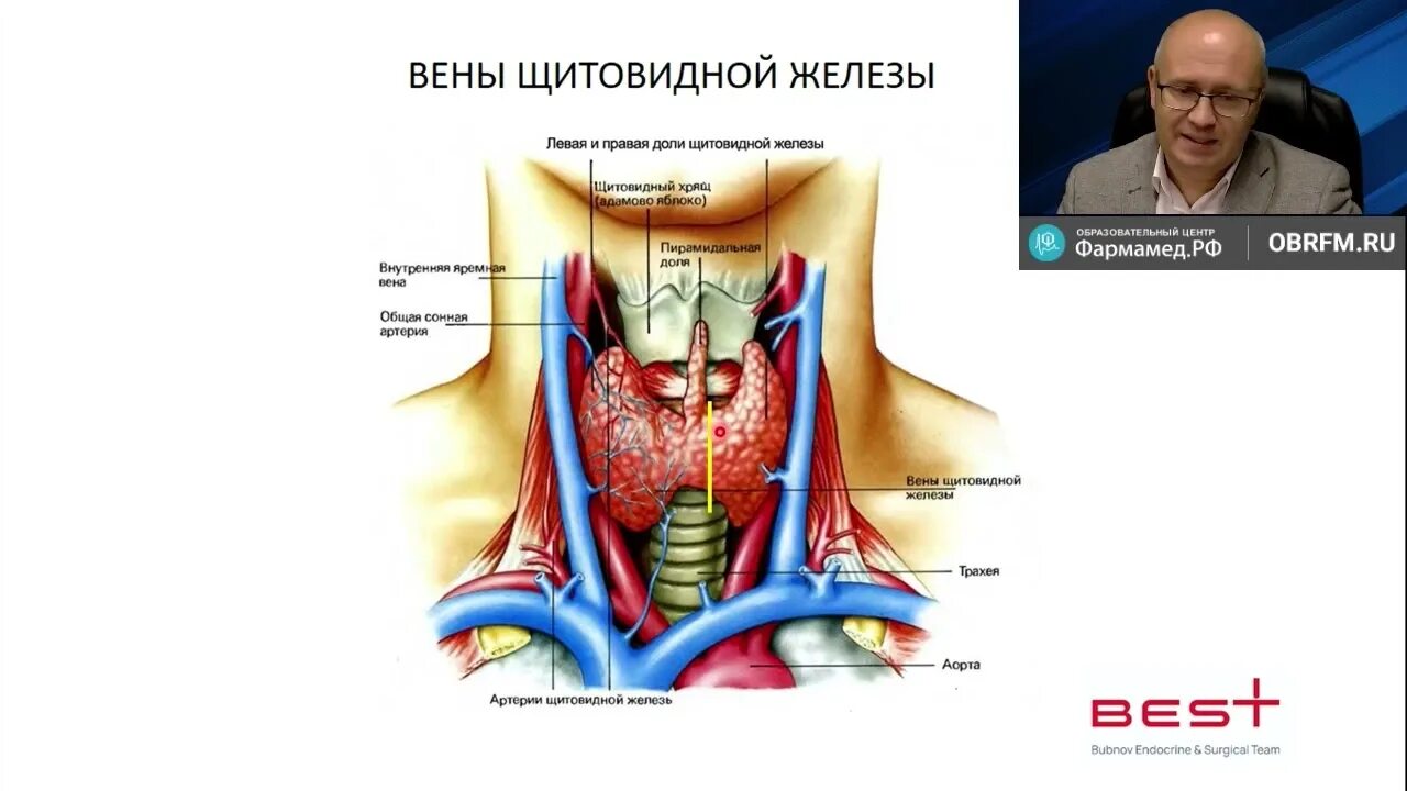 Операция на щитовидной отзывы. Хирургические заболевания щитовидной железы. Заболевания щитовидной железы эндокринология. Излечение щитовидной железы.