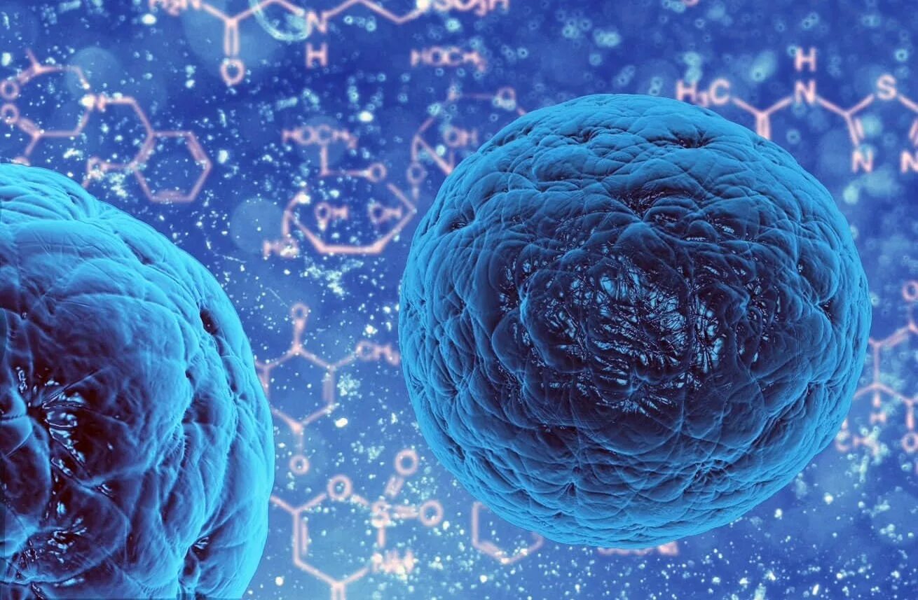 Эмбриональные стволовые клетки. Эмбриональная стволовая клетка. Эмбриональные стволовые клетки человека. Что такое стволовые клетки в организме. Стволовые клетки картинки.