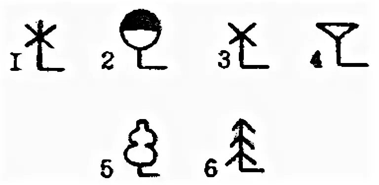 Условные знаки деревьев. Условные обозначения лиственных деревьев. Топографический знак отдельно стоящее дерево. Топографический знак Лиственный лес. Условный знак лиственное дерево.