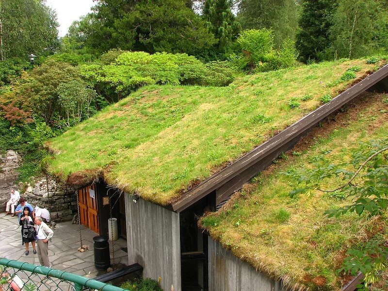 Земляная крыша. Зеленая кровля Норвегия. Земляная кровля в Норвегии. Крыша из дерна. Травяная крыша.