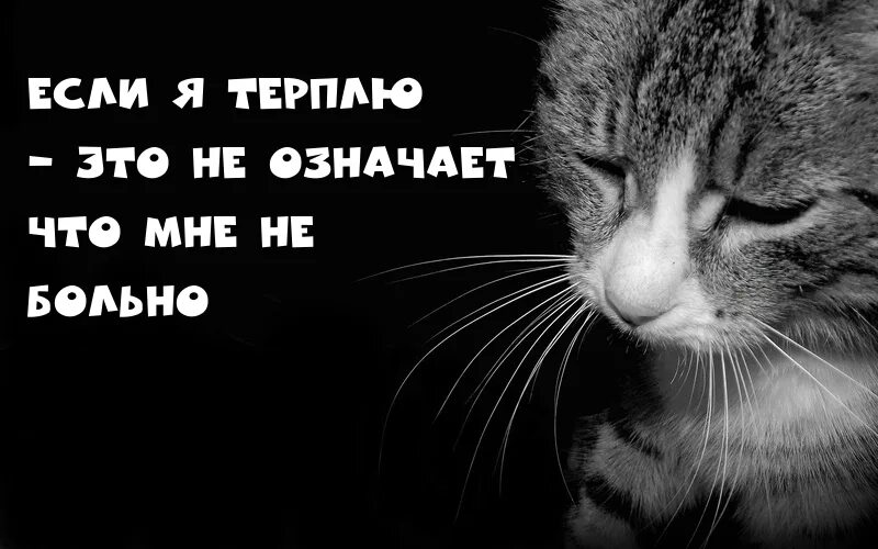 Мне не больно я терплю. Грустные картинки с надписями. Если я терплю. Грустное настроение с надписью. Очень грустно картинки с надписями.