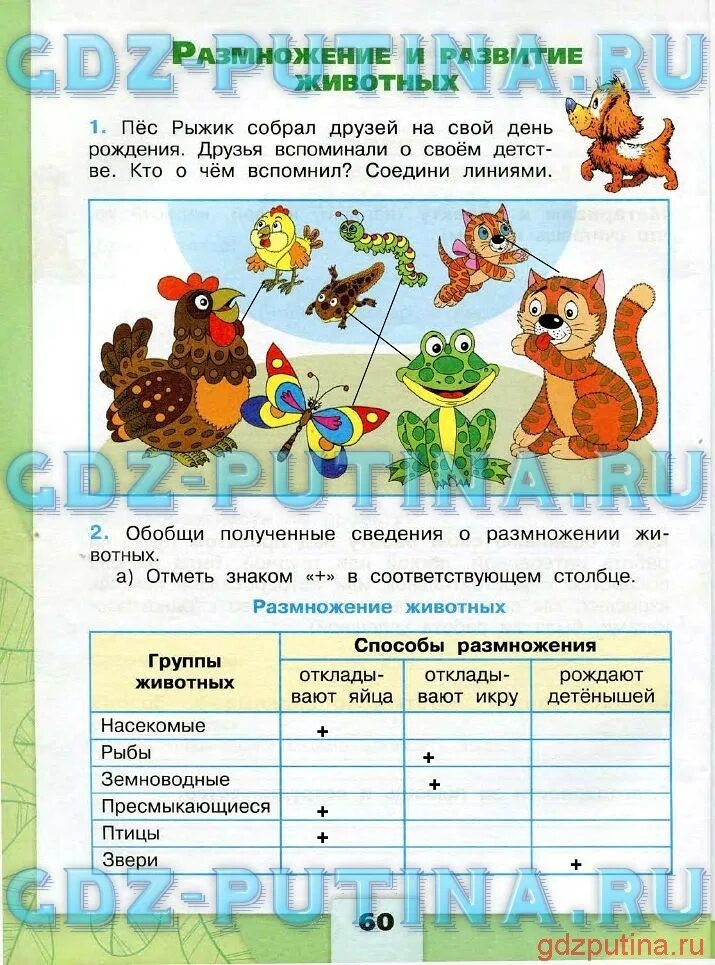 Окружающий мир 3 класс 62. Окружающий мир 3 класс 62