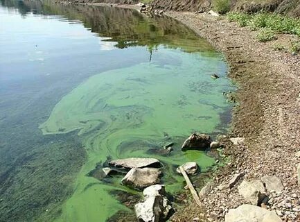 Состояние водоемов