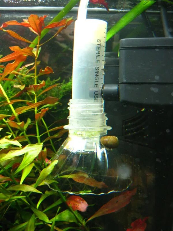 Аквариум без аэрации. Течение воды в аквариуме схема. Флейта для внешнего фильтра аквариума. Потока в аквариуме. Течение воды в аквариуме схема.