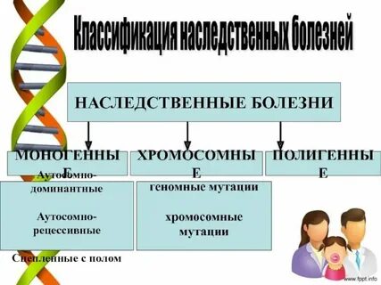 Моногенные аутосомно доминантные