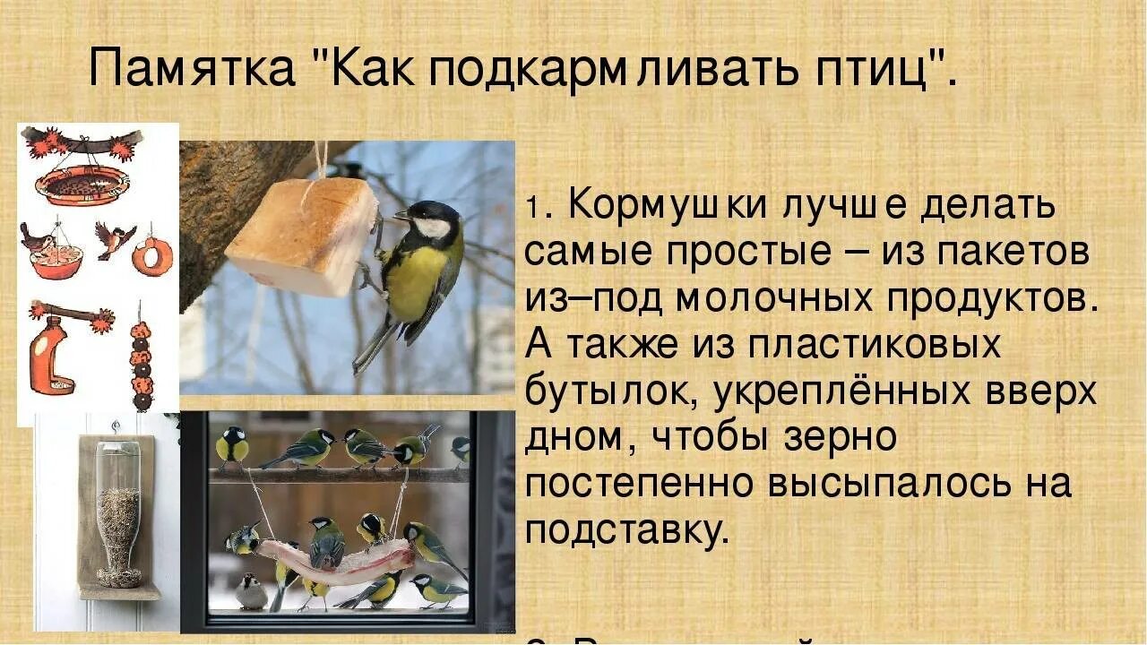 Птица история. День птиц. 1 Апреля день птиц. День птиц презентация. Доклад на тему день птиц.