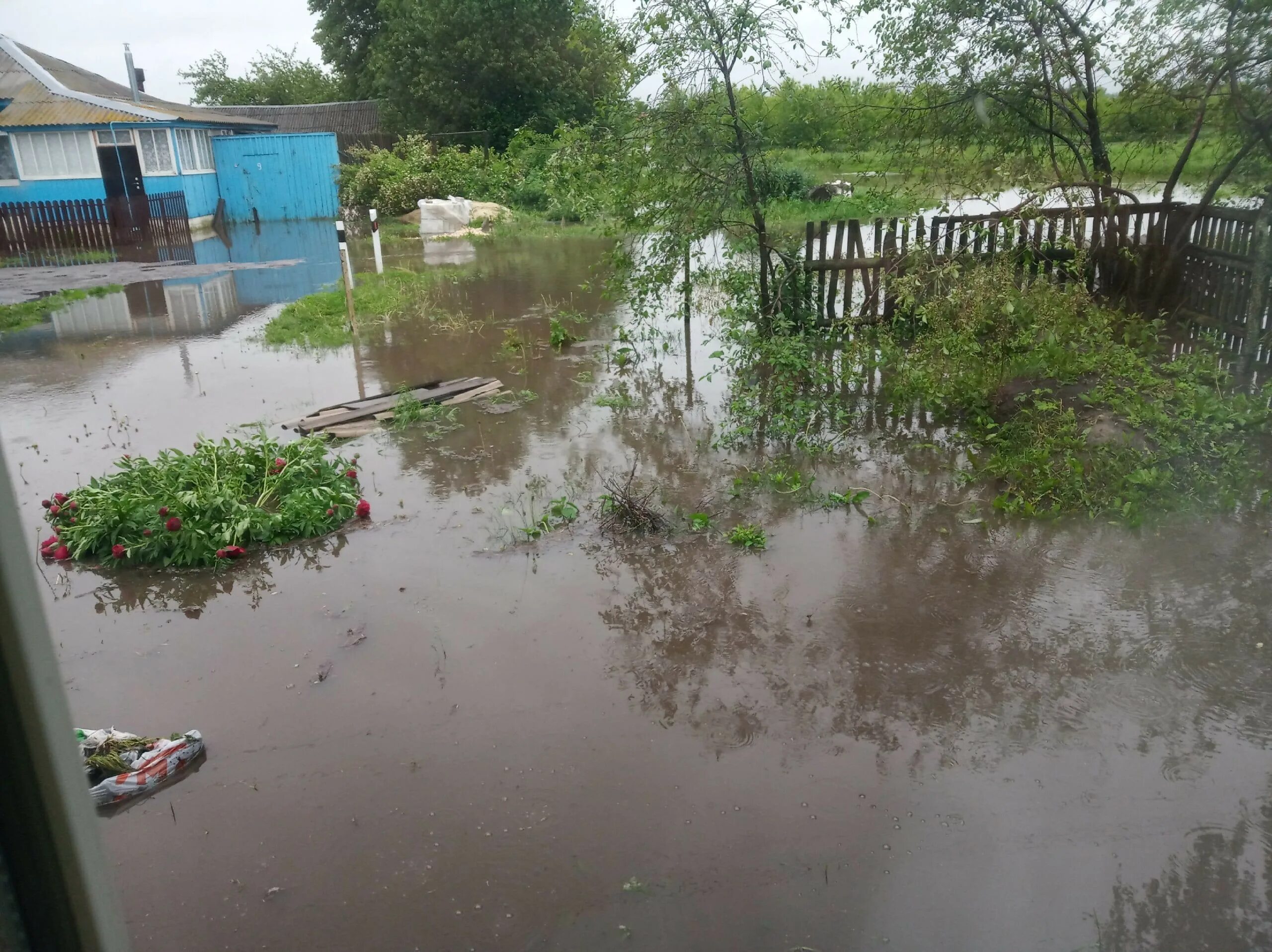 Погода село борки. Рязанская область Шацкий район село Борки. Демидово Шацкий район. Река Шача Рязанская область. Борки Рязань потоп.