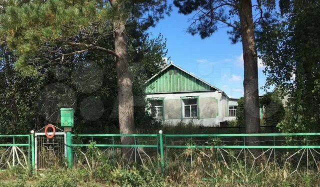 Село Дегтярка Алтайский край. Алтайский край, немецкий р-н, с. Дегтярка. Село камыши Алтайский край немецкий национальный район. Дегтярка немецкий район Алтайский край. Погода в дегтярки алтайского края