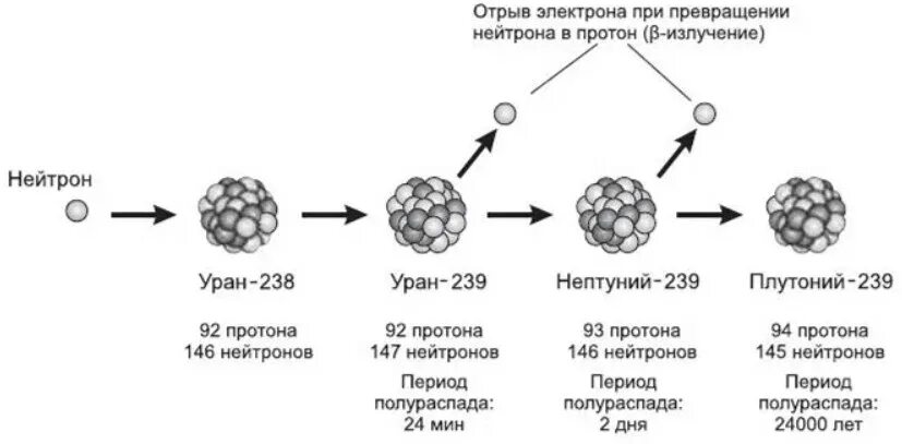 Изотоп u 235. Деление ядер плутония. Схема распада плутония 238. Распад плутония 239 схема. Реакция деления ядер плутония.