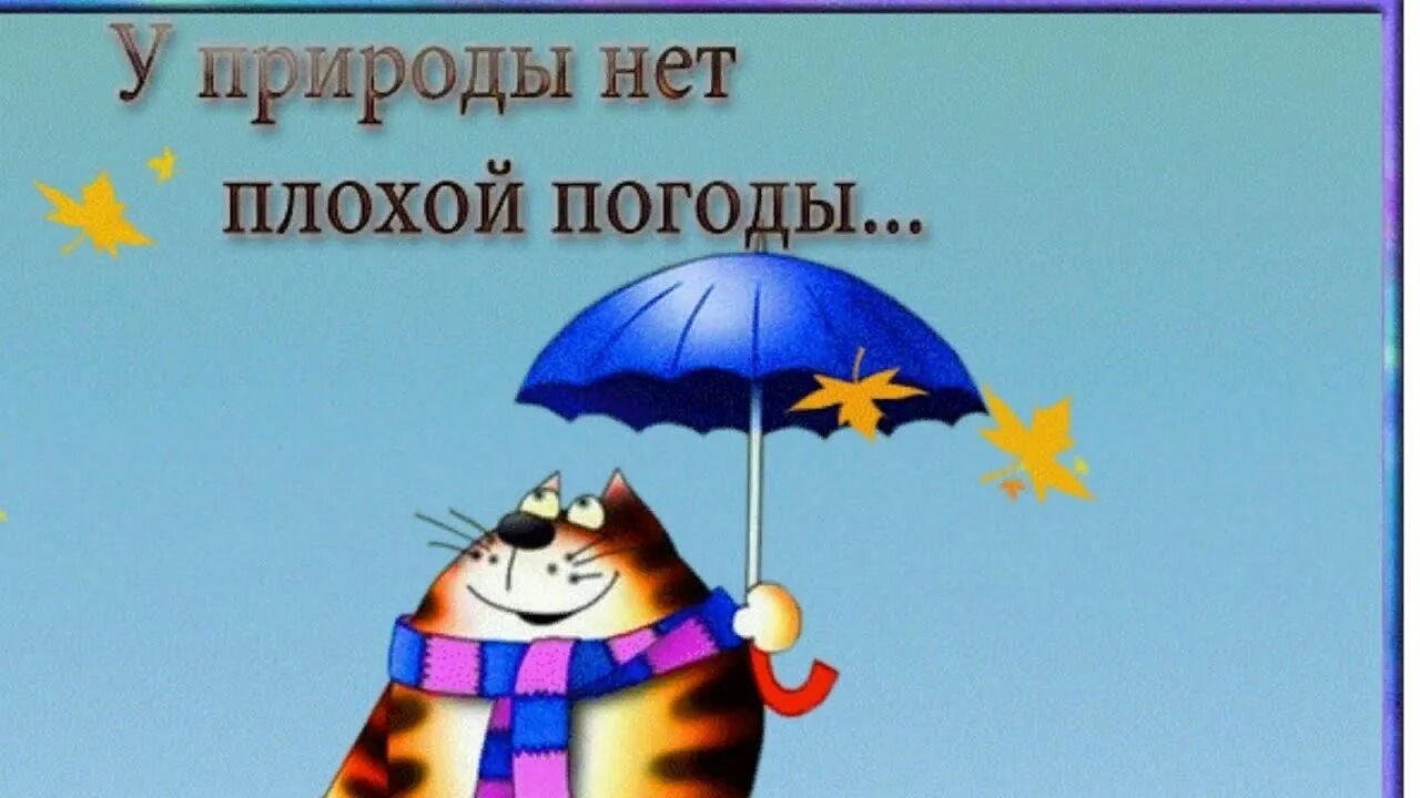 Не включай погоду. Статусы юмор. Не включай погоду. Веселые статусы в картинках про погоду. Не включай погоду.