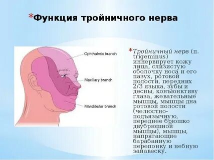 Почему ноет нерв