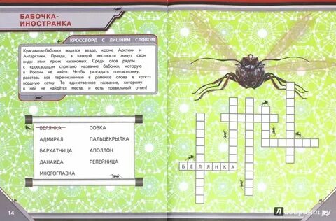 Бабочка кроссворд 7
