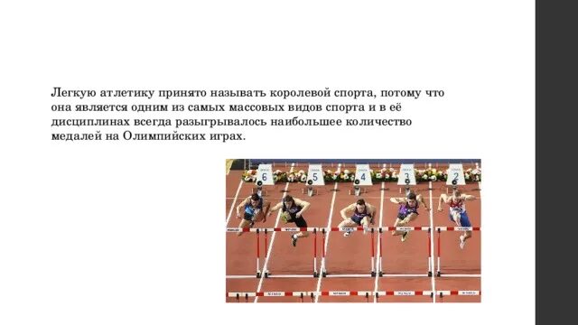 Какой спорт называется королевой спорта. Какой спорт называется королевой спорта