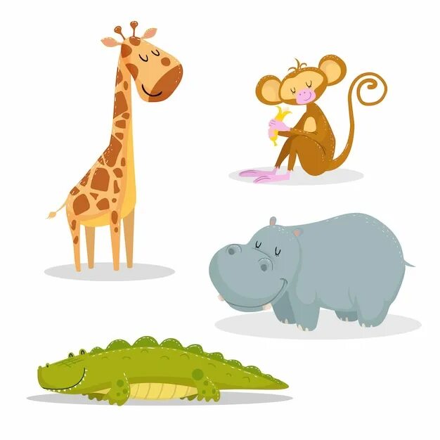Giraffes are thin than hippos