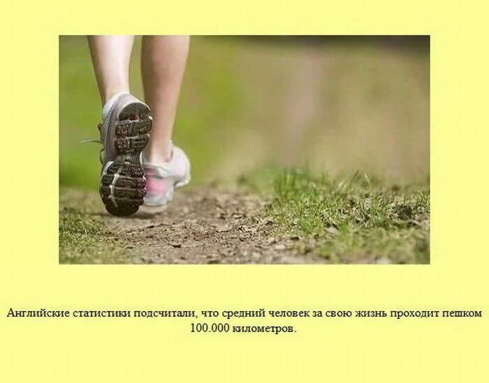 Интересным фактом есть то что